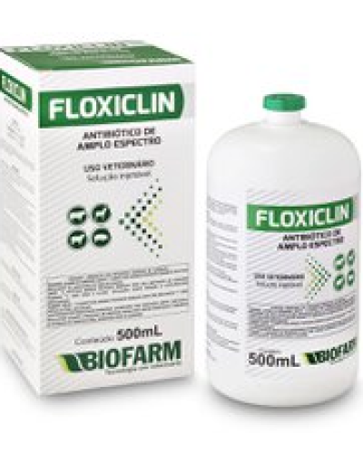 FLOXICLIN 500 ML