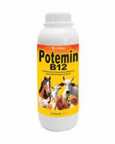 POTEMIN B12 1L