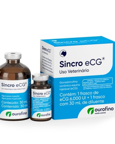 SINCRO ECG 6000