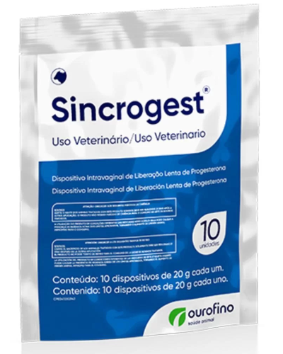 SINCROGEST DISP INTRV