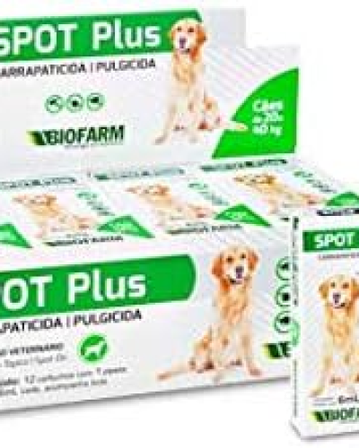 SPOT PLUS 6 mL